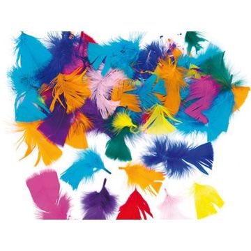 Decorative feathers, colorful, 20 pieces.