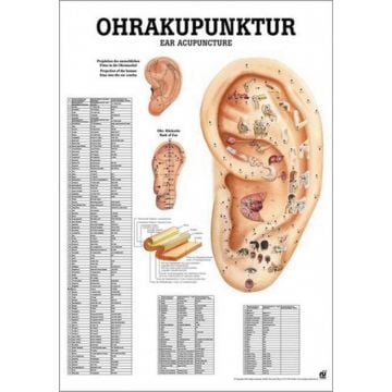 Poster - Ear Acupuncture