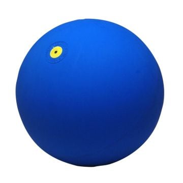 WV® Exercise Ball