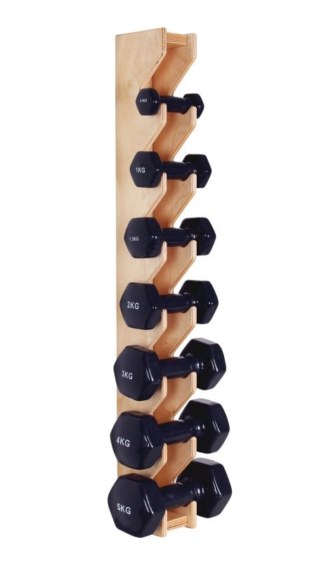 Diy wall mounted online dumbbell rack